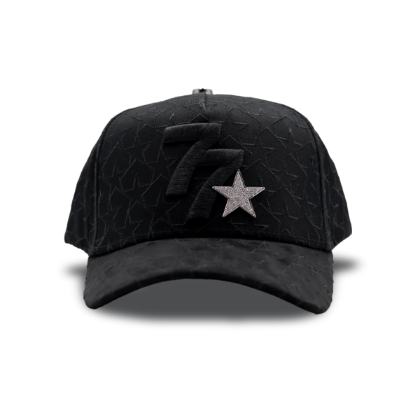 MONEY HATS | NEW RELIGION 77 | GORRA